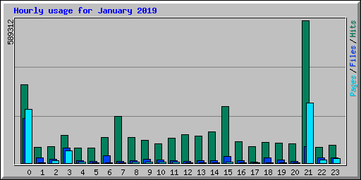 Hourly usage for January 2019