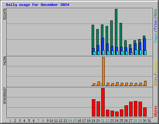 Daily usage for December 2024