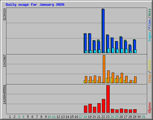 Daily usage for January 2026