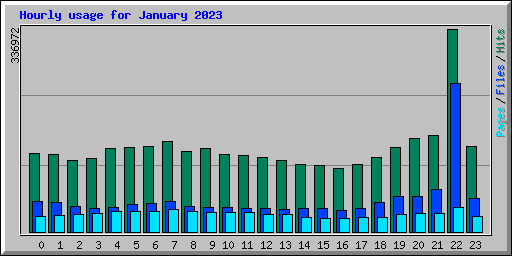 Hourly usage for January 2023