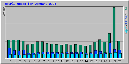 Hourly usage for January 2024