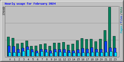 Hourly usage for February 2024