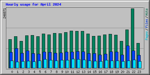 Hourly usage for April 2024