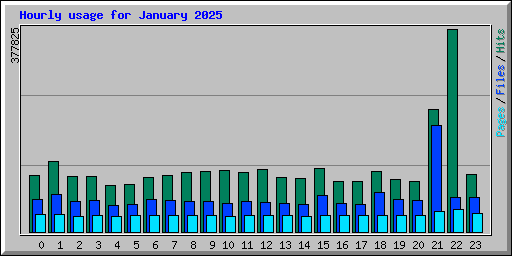Hourly usage for January 2025