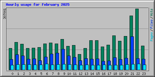 Hourly usage for February 2025