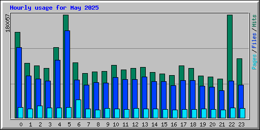 Hourly usage for May 2025