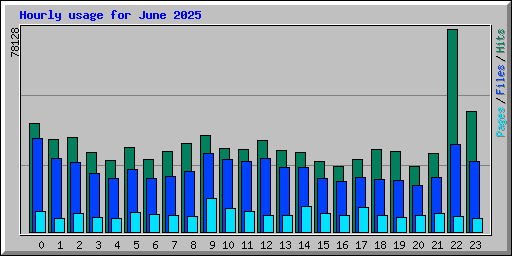 Hourly usage for June 2025
