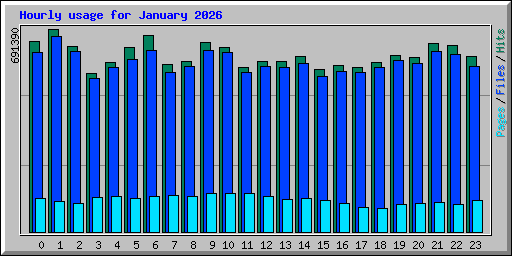 Hourly usage for January 2026